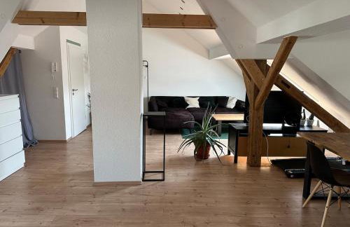 City Apartment Donaueschingen - Foto 1