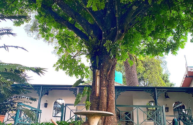 Sherwood's Country House - Foto 40