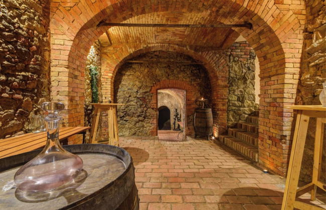 Charming Czech Countryside Retreat in Znojmo - Photo 10