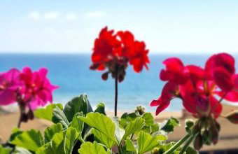 Corfu Glyfada Sea blue 137 - Foto 27