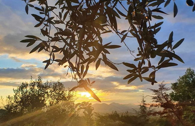 Unique Countryside Loft Room, Near Naples - Foto 19