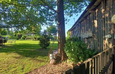 Kolonia u Jasia Rajgród - Foto 19