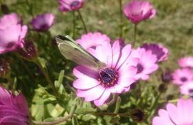 Agriturismo Torrevecchia - Foto 47