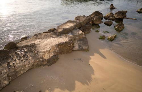 Flora s Home - Foto 9