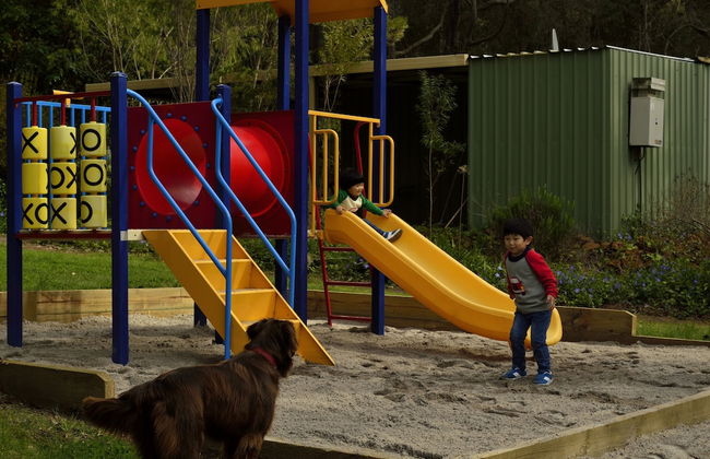 Diamond Forest Farm Stay - Foto 23