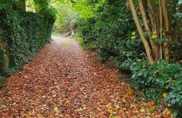 Ferienhaus blauer See mit optionalem Hot-Tub - Foto 46