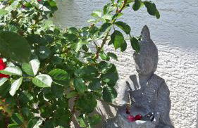 Happywild - Foto 37