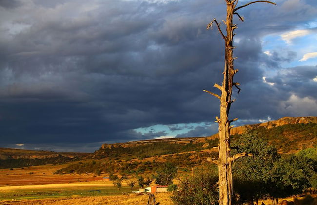 Springwater Cottages - Photo 41