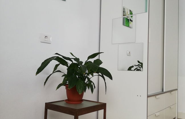 Casa del Erizo - Ecofinca - Foto 9