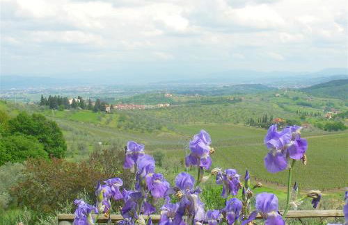 La Solaria - Foto 11