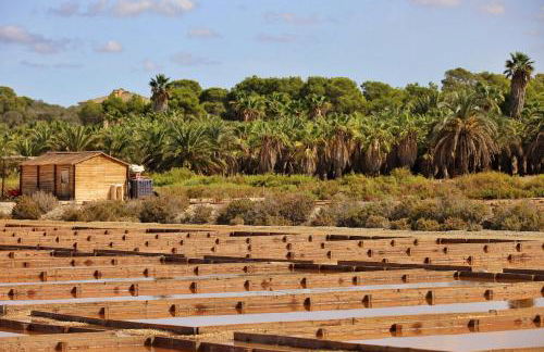 Moderne Penthouse-Whg am Hafen von Cala d'Or / WLAN, Klimaanlage, Pool - Foto 57