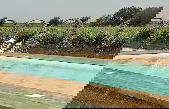 Masseria Torleanzi - Wine Relais - Foto 25