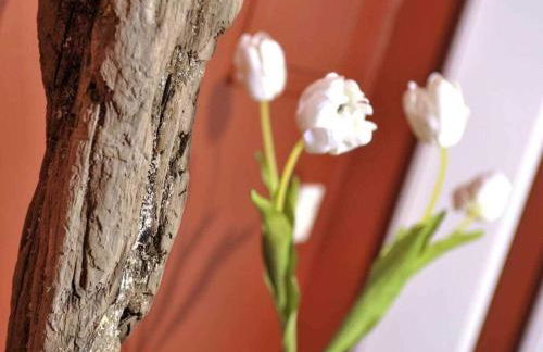 Süderhof Apartment 1 - Foto 22