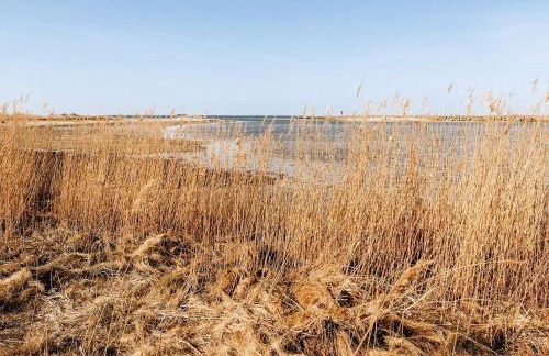 6 Personen Ferienhaus in Wendtorf - Foto 53