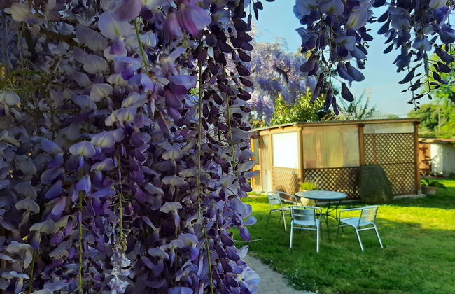 Casa di Campagna Dal Pozzo - Foto 74