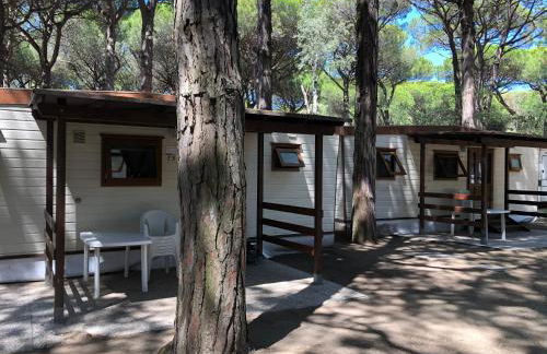 Buona Mobile Homes on Camping Mare e Pineta - Foto 37