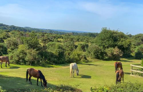 The Annexe The Roost - Foto 14