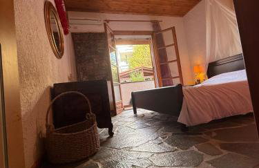 House with lake and water lilies - Foto 19