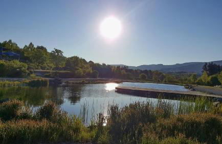 Ferienwohnung Köck - Foto 23