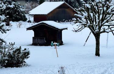 Residence Hôtelière La Renardiere - Foto 40