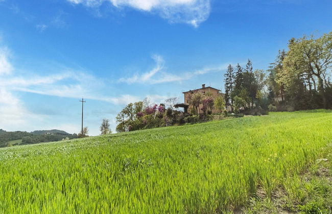 Pet-friendly Farmhouse - Foto 23