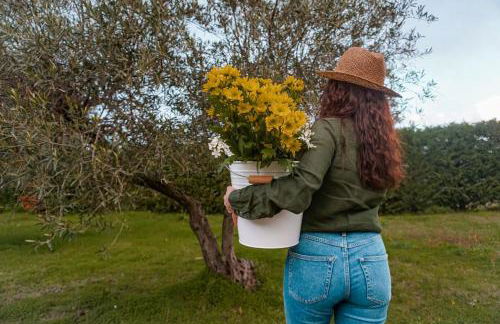 Rocca dei Saraceni - Foto 102