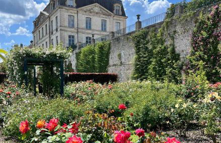 Châtel Rose - Historical Centre with Garden - Foto 29