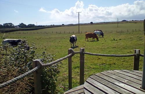 Buckton House Holiday Cottages - Foto 55