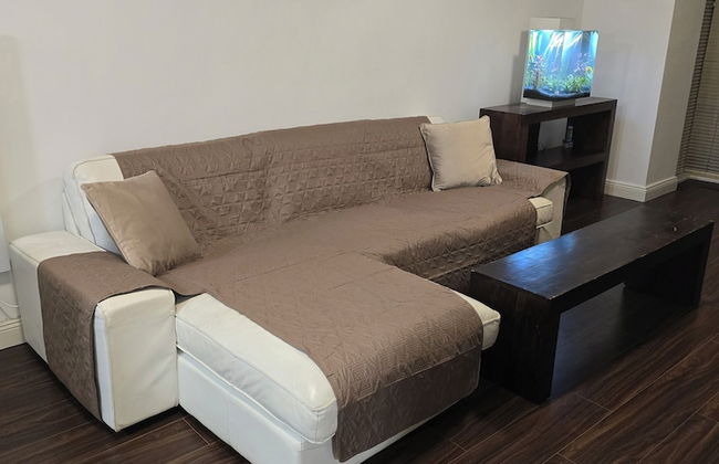 Free Private Transport From Any Dublin Port - Photo 7