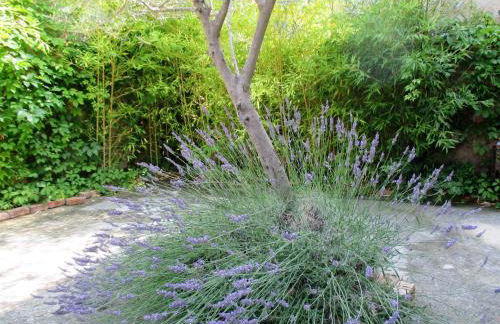 Le Mas du Fort - Foto 25