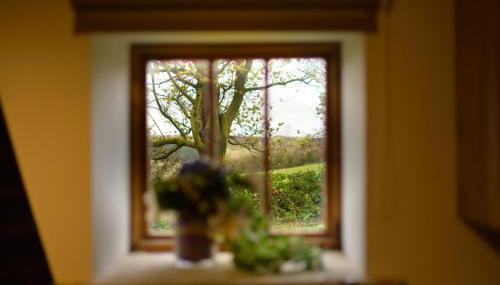 Sebright Cottage, Borrowby Farm Cottages - Foto 2, Garden, Garden view