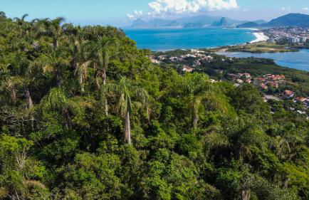 Vila Ebert - Foto 47