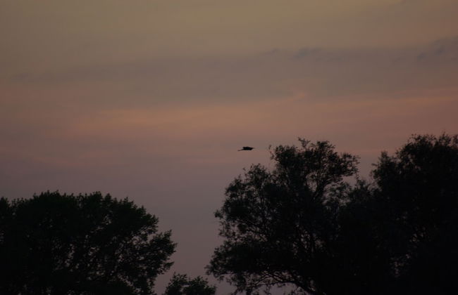 Ferienwohnung Waldblick - Foto 24