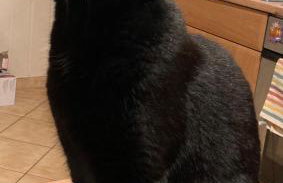 Ferienwohnung Wie zu Hause - Foto 6