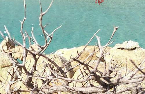 Rami di Corallo Appartamento con Parcheggio Privato ---------- - Foto 33