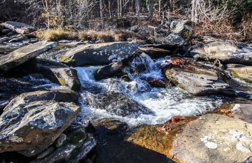 Draggin Fly - Foto 45