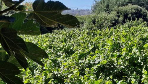 Casa do Mirante - Foto 3