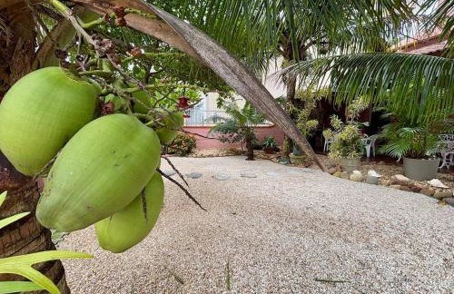 Casa perto do Mar e Beto Carrero - Photo 25