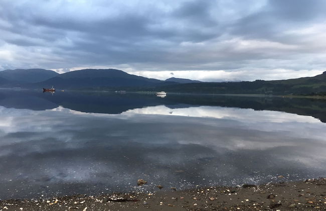 Seabank House - Foto 13