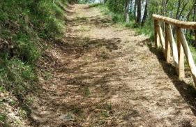 Pizzicalaluna Agriturismo Olistico sulle Colline di Pianoro - Photo 68