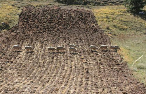 Residenza La Torre - Foto 41