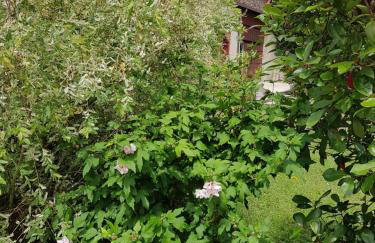 La Grange des 7 Tilleuls - Foto 29