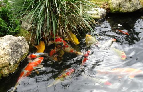 Gästehaus Biedermann - Photo 28