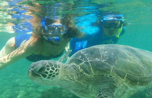 Beautiful Guest House Kailua Beach - Foto 27