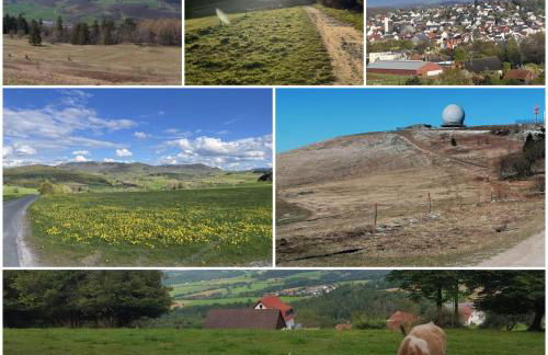 Ferienwohnung Elena - Foto 23