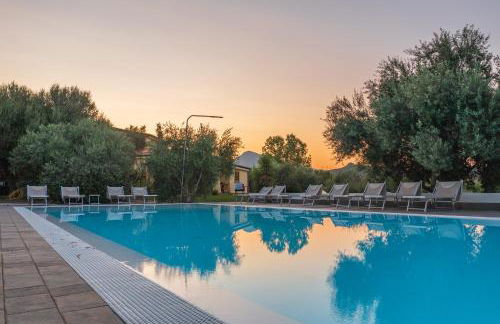 Armandiola - Foto 50