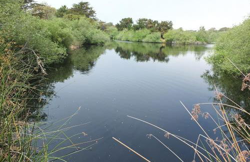 618 Airpark - Foto 39