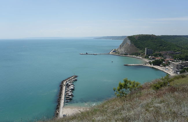 Calithea Complex - Photo 71