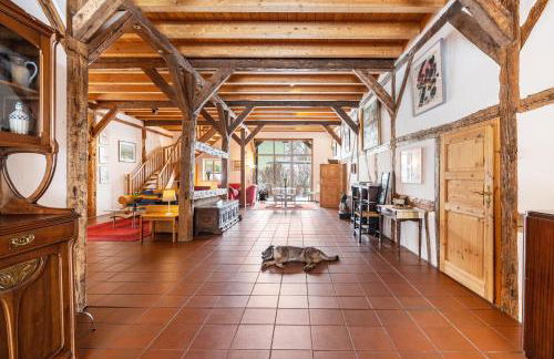 Ole Schün Dannau - Foto 8