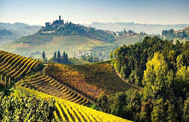 Hillview Langhe Apartment - Foto 40